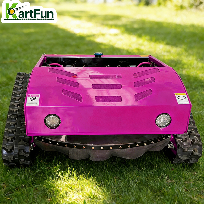 Hot Sale 196cc Remote Control  - Home Improvement Kit incelemesi ve fiyatı